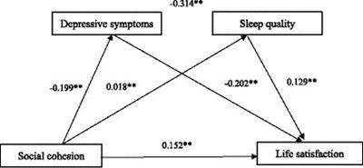 The effect of neighborhood social cohesion on life satisfaction in type 2 diabetes mellitus patients: the chain mediating role of depressive symptoms and sleep quality